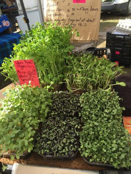 48 hours in the Gold Coast: rainforest walks, organic food and fine dining shake up expectations