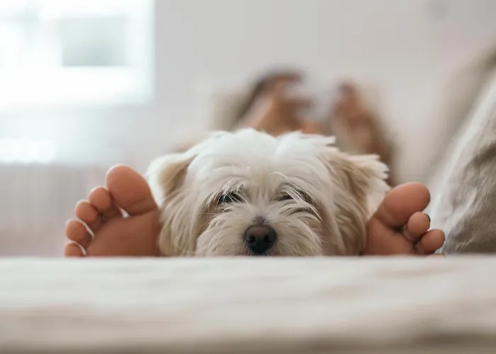 Best Hotels in Lake Forest