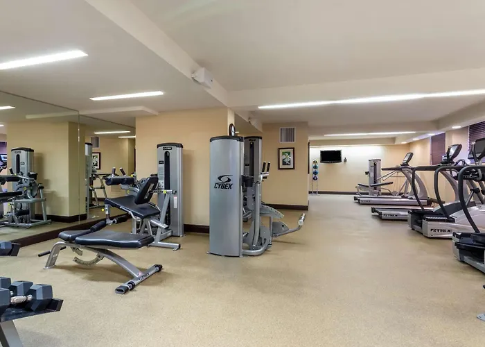 Best Hotels in Deerfield Beach for Unforgettable Stays