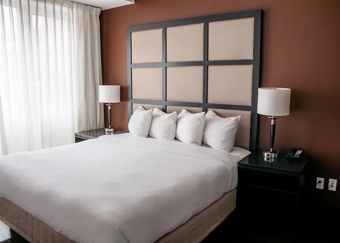 Top Hostels in Montreal for Immersive City Experiences