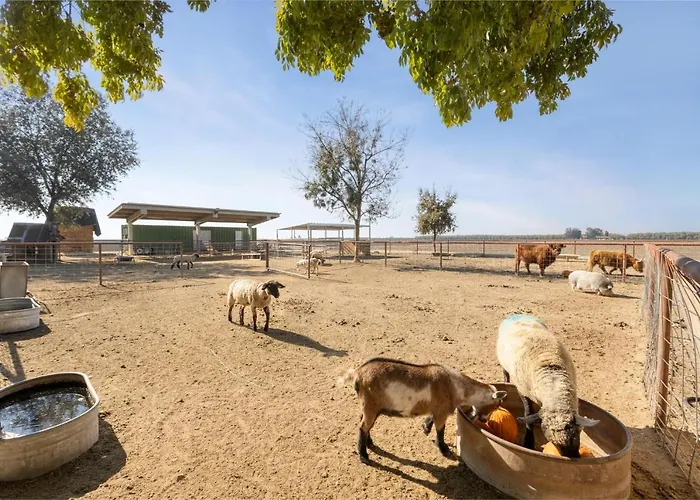 Top Hotels in Tulare CA