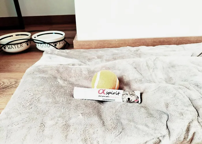 Mejores hoteles Salamanca?trackid=sp-006