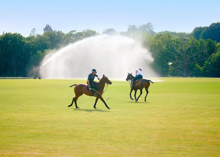 Windsor's Best Hotels for a Regal Stay