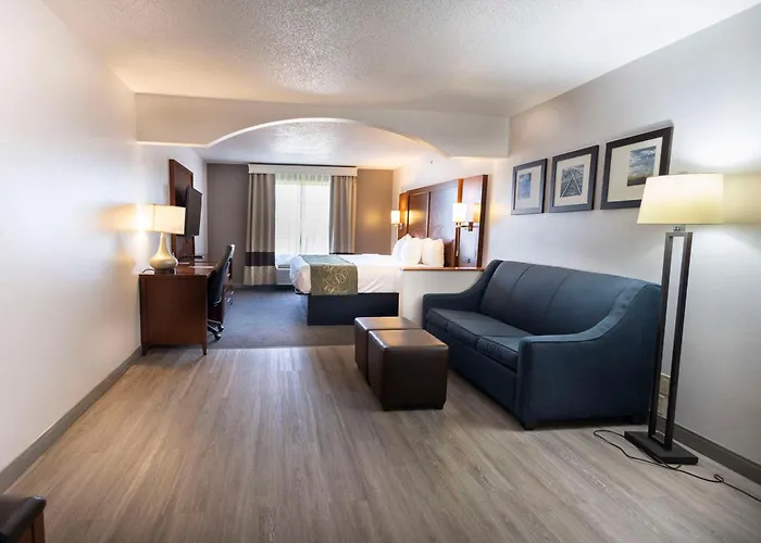 Top Accommodations in Springfield's Cultural Heart