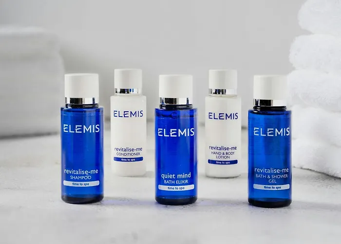 Top-Rated Dog-Friendly Hotels in Edinburgh