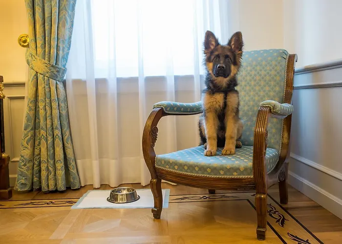 Best Hotel in Verona