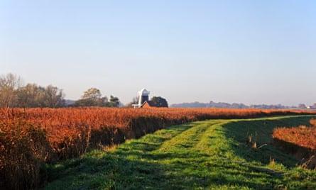 Wherryman's Way long-distance path near Reedham