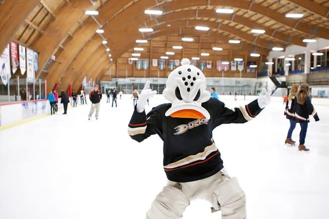 the rinks anaheim ice