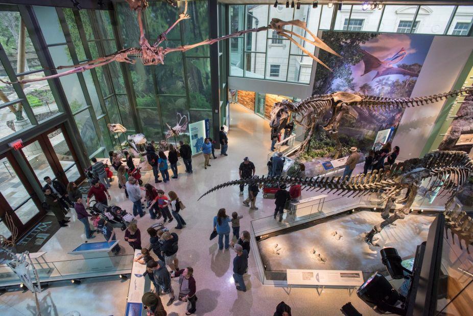 <strong>Cutting-edge museums: </strong>The Witte Museum is a place where nature, science, and culture come together. It features a permanent dinosaur gallery that is sure to impress.
