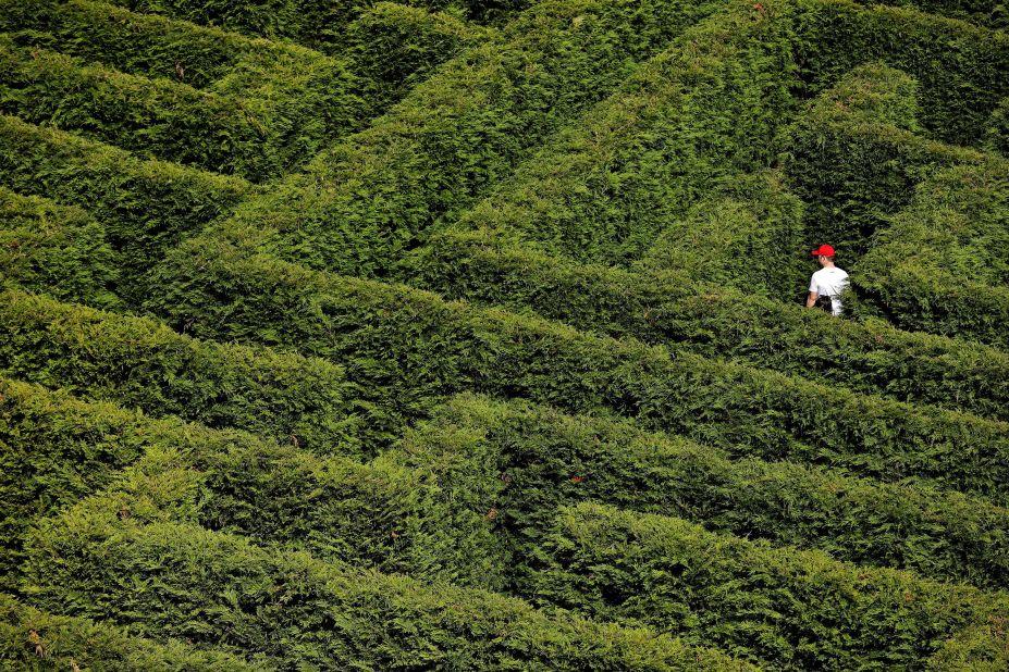 <strong>The labyrinth of Villapresente</strong>: This beautifully constructed maze only opened in 2017 -- but it's now Spain's largest and definitely worth exploring.
