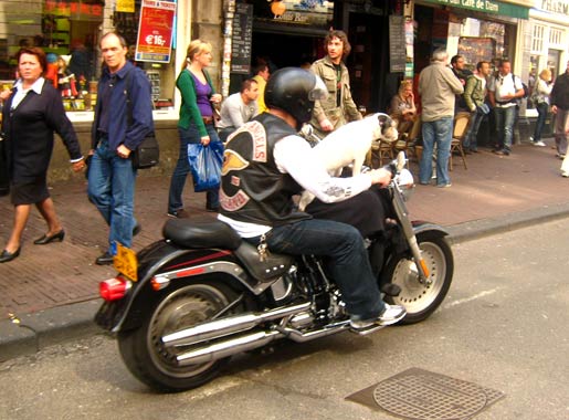 a-dogcycle