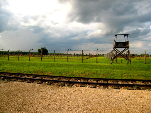 birkenau-size-small birkenau-size-small